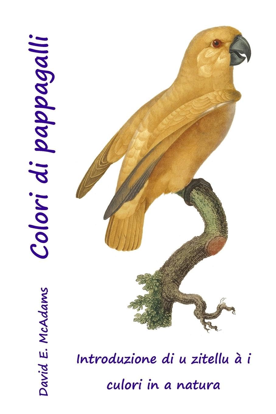 Colori di pappagalli: Introduzione di u zitellu à i culori in a natura