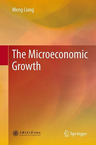 The Microeconomic Growth