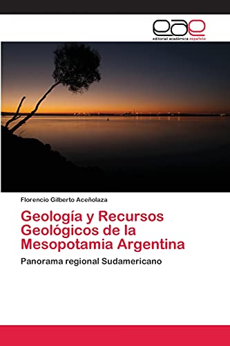 Geología y Recursos Geológicos de la Mesopotamia Argentina: Panorama regional Sudamericano