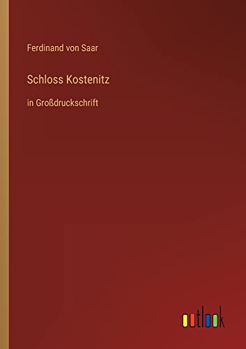 Schloss Kostenitz: in Großdruckschrift
