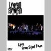 Lynyrd Skynyrd - Lyve from Steel Town
