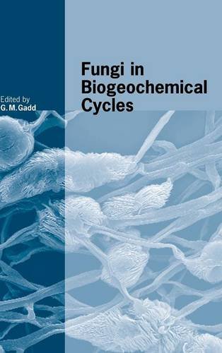 Fungi in Biogeochemical Cycles (British Mycological Society Symposia, Band 24)