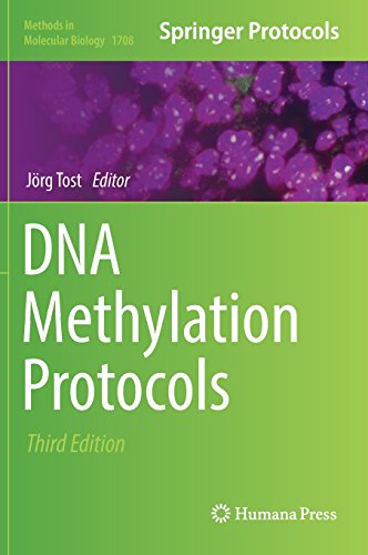 DNA Methylation Protocols (Methods in Molecular Biology, Band 1708)