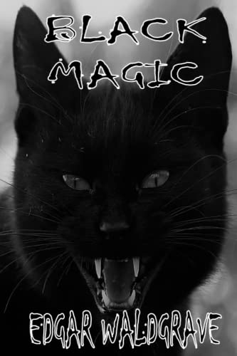 Black Magic (The Witch Chronicles - Rise of the Dark Witch High King - Book Two, Band 2)
