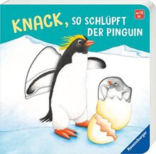 Knack, so schlüpft der Pinguin: Mein erstes Schiebebuch