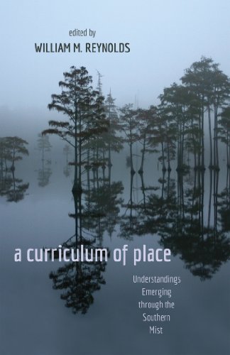 a curriculum of place: Understandings Emerging through the Southern Mist (Counterpoints)