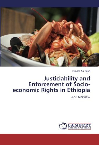 Justiciability and Enforcement of Socio-economic Rights in Ethiopia: An Overview