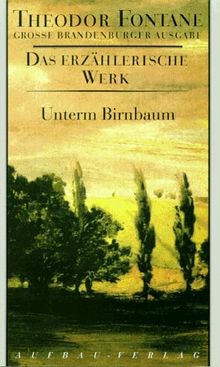 Das erzählerische Werk, 20 Bde., Bd.8, Unterm Birnbaum (Fontane GBA Das erzählerische Werk, Band 8)