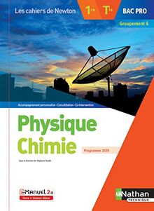 Physique chimie 1re, terminale bac pro, groupement 6 : nouveaux programmes, réforme de la voie professionnelle