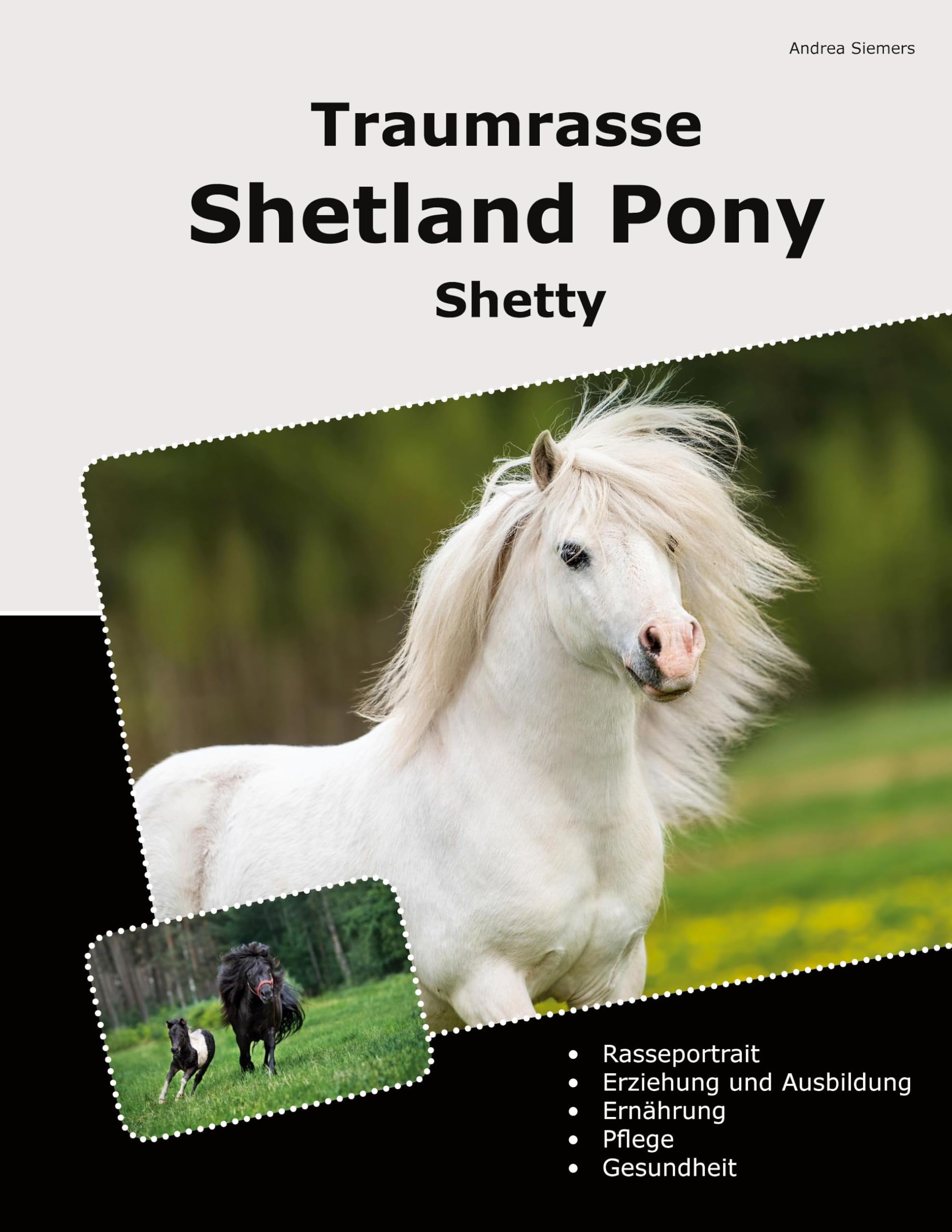 Traumrasse Shetland Pony: Shetty