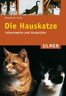 Die Hauskatze. Lebensweise und Ansprüche