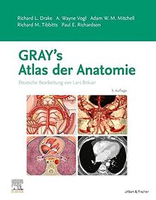 Gray's Atlas der Anatomie: Deutsche Bearbeitung von Lars Bräuer