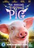 The Amazing Burping Pig [DVD] [UK Import]