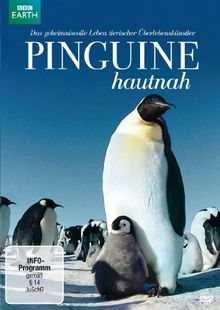 Pinguine hautnah