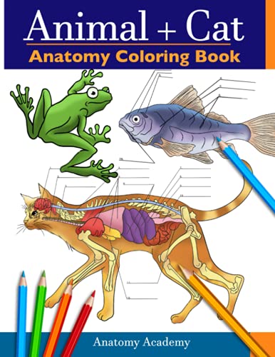 Anatomy Academy Animal & Cat Anatomy Coloring Book, 2-in-1 Compilation | Incredibly Detailed Self-Test Veterinary & Feline Anatomy Color Workbook