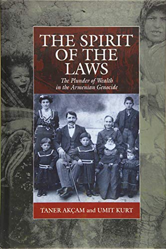 The Spirit of the Laws: The Plunder of Wealth in the Armenian Genocide (Studies on War and Genocide, Band 21)