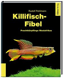 Killifisch-Fibel