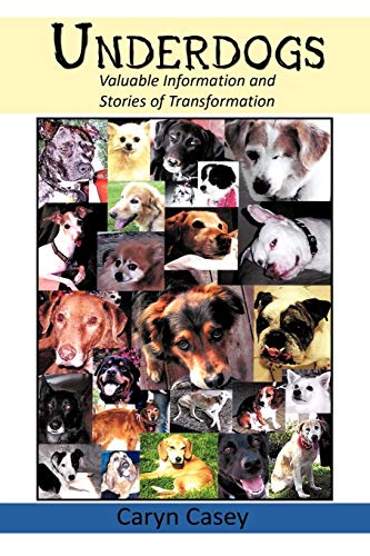 Underdogs: Valuable Information and Stories of Transformation