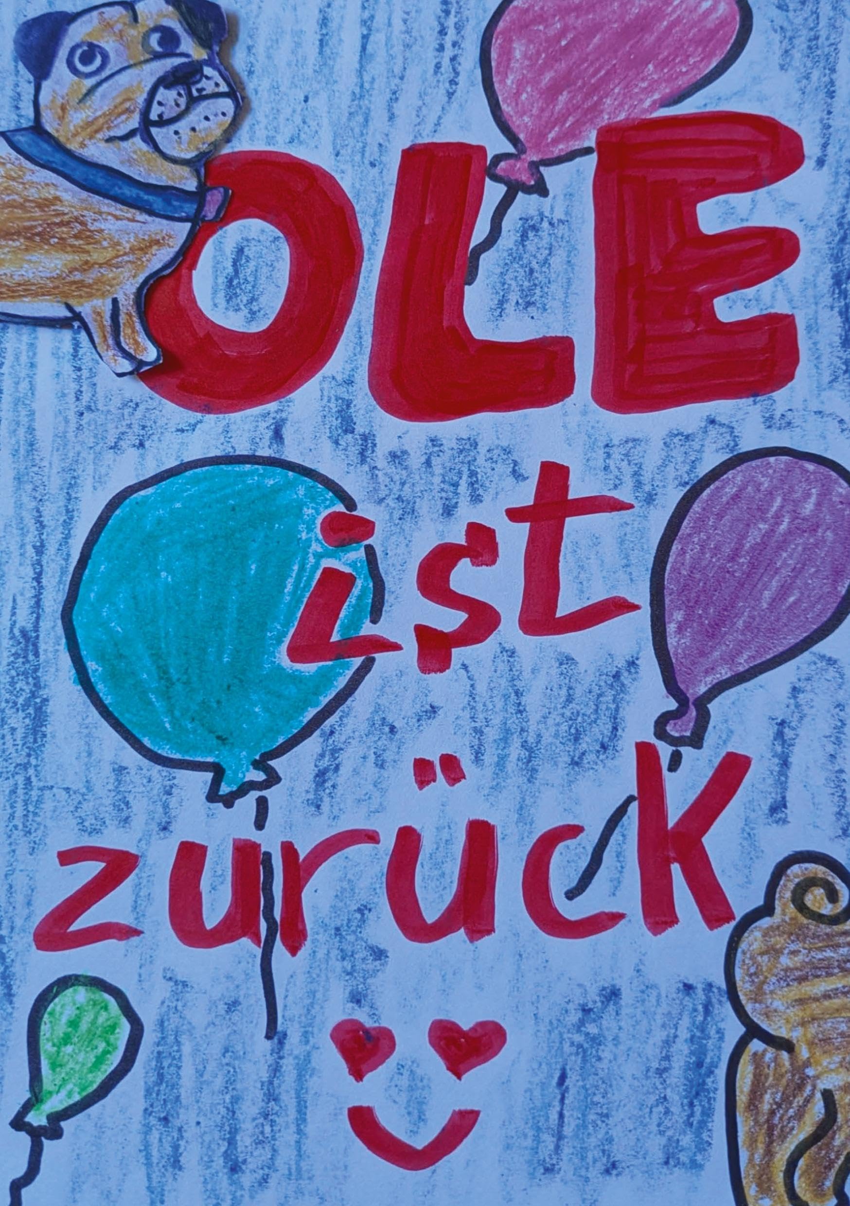 Ole ist zurück: Aus dem Leben von Mops Ole