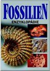 Fossilien Enzyklopädie