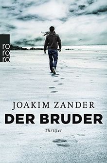 Der Bruder (Klara Walldéen, Band 2)