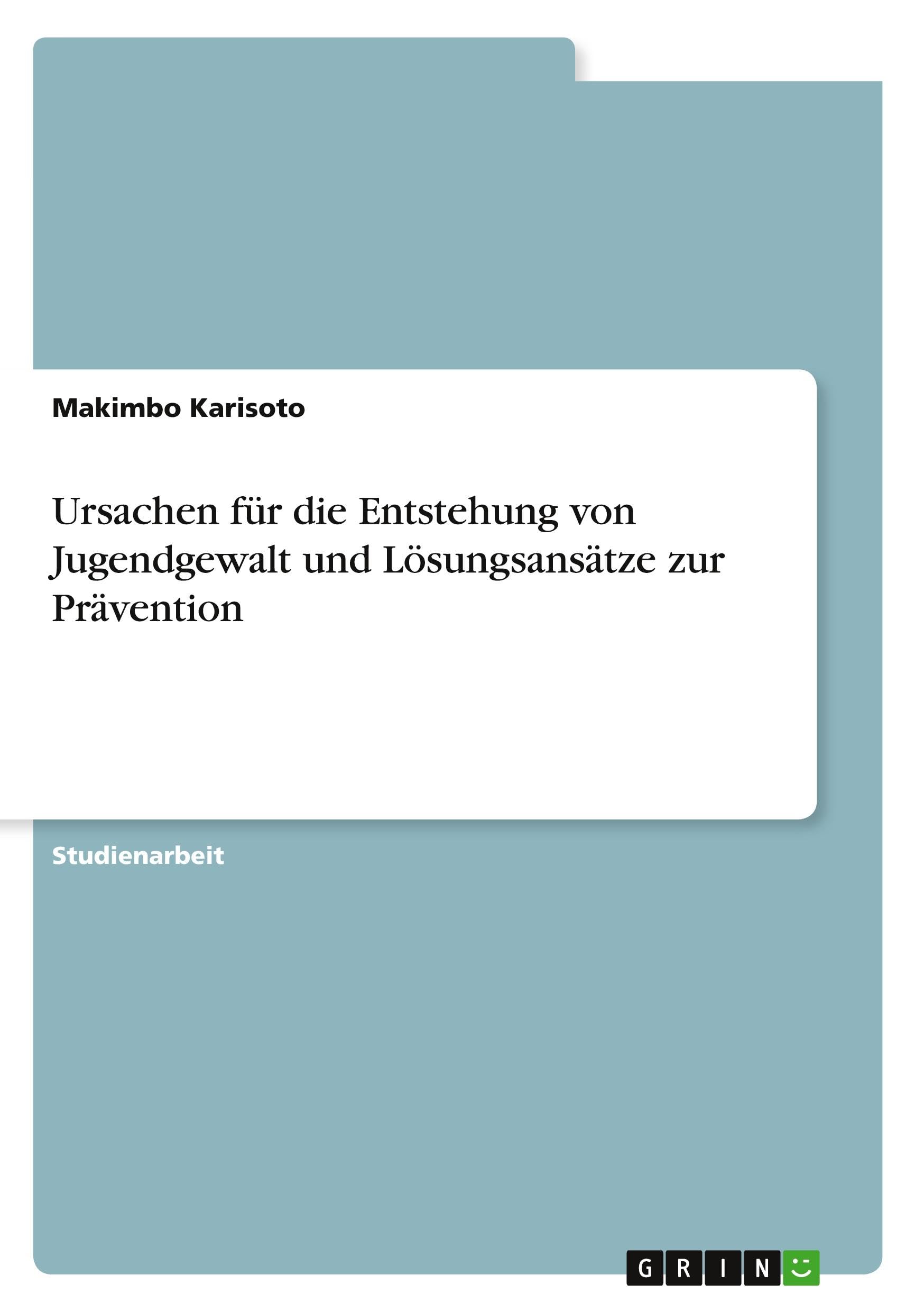 Ursachen für die Entstehung von Jugendgewalt und Lösungsansätze zur Prävention