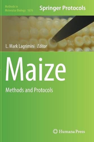 Maize: Methods and Protocols (Methods in Molecular Biology, Band 1676)