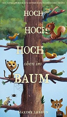 Hoch hoch hoch oben im Baum: Aufklapp-Bilderbuch zum Suchen, Entdecken und Lernen