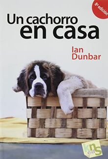 Un cachorro en casa : antes de adquirir tu cachorro y ahora que ya tienes tu cachorro: ¡No hay tiempo que perder!