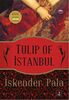 Tulip Of İstanbul: A Novel