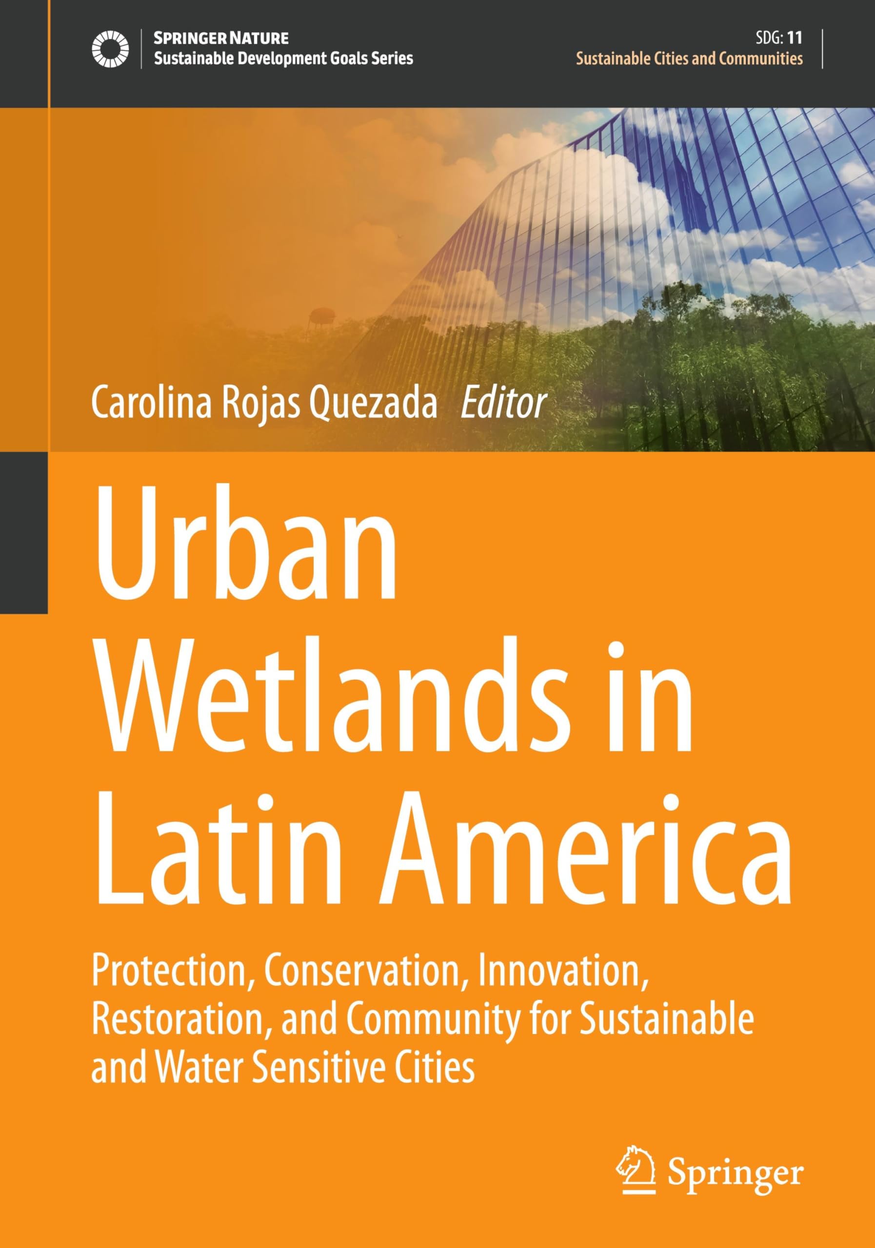Urban Wetlands in Latin America: Protection, Conservation, Innovation, Restoration, and Community for Sustainable and Water Sensitive Cities (Sustainable Development Goals Series)