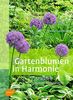 Gartenblumen in Harmonie: Stauden gekonnt kombinieren