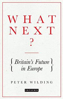 What Next?: Britain's Future in Europe