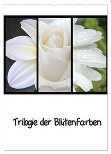 Trilogie der Blütenfarben (Wandkalender 2023 DIN A2 hoch), Calvendo Monatskalender
