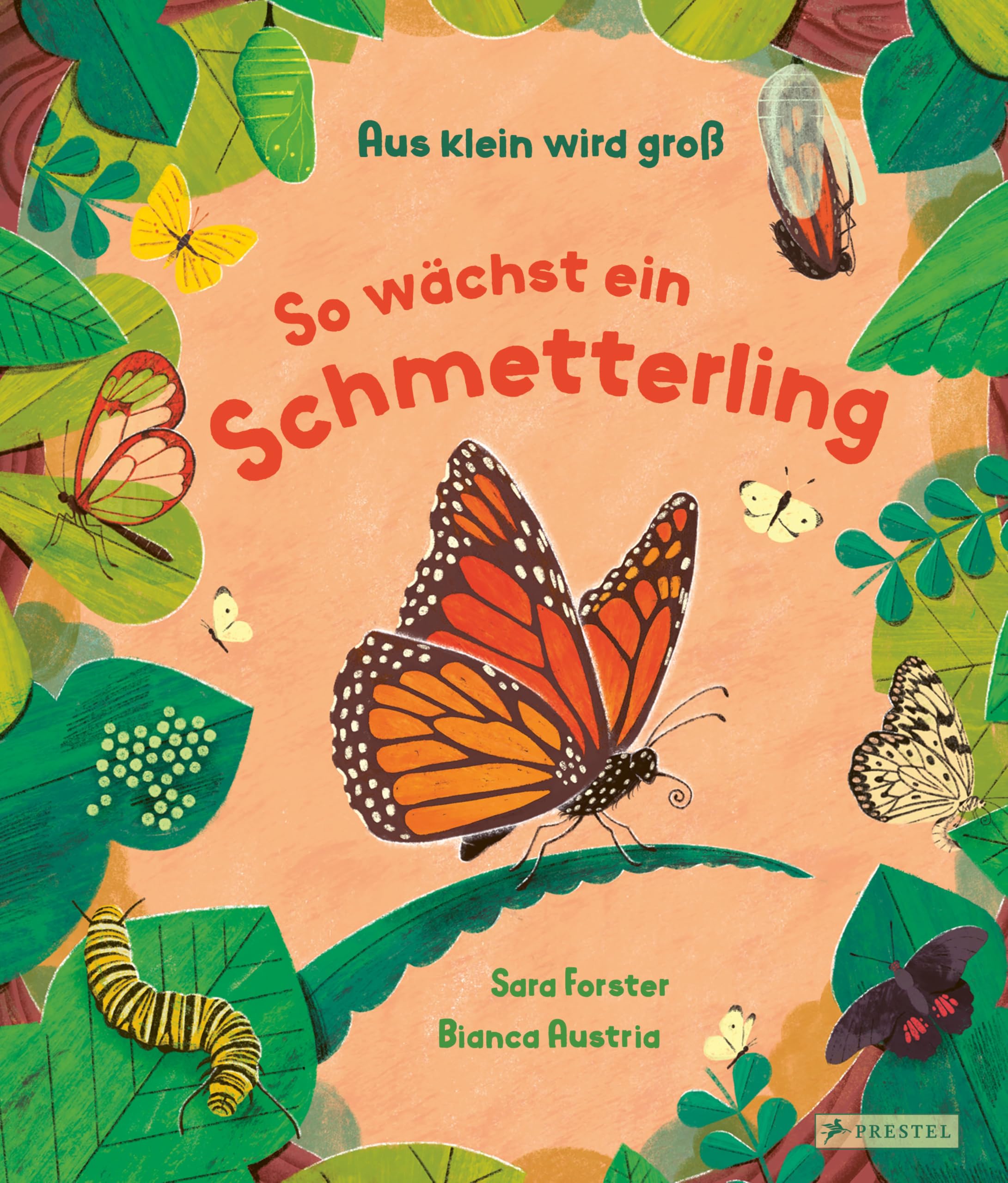 Aus klein wird groß. So wächst ein Schmetterling: Ein Sachbilderbuch für Kinder ab 3 Jahren