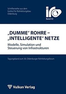 Dumme Rohre - Intelligente Netze: Modelle, Simulation und Steuerung von Infrastrukturen (IRO-Schriftenreihe)