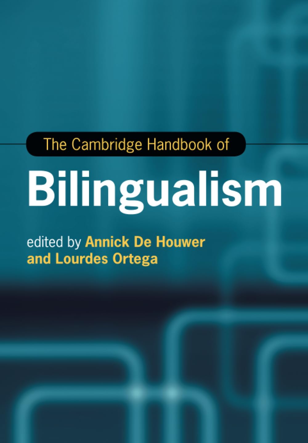 unbekannt The Cambridge Handbook Of Bilingualism (Cambridge Handbooks In Language And Linguistics)