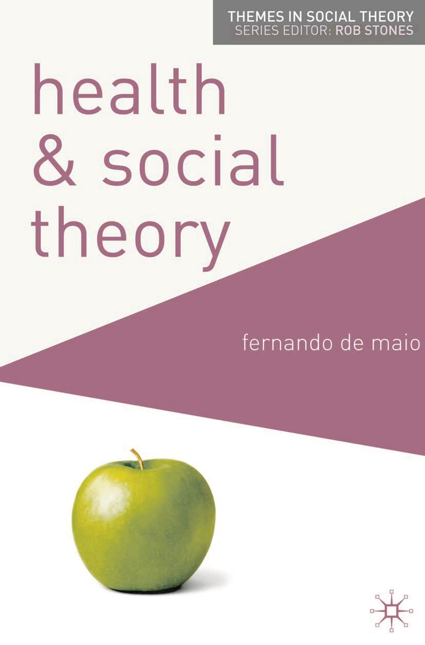 Health and Social Theory (Themes in Social Theory)