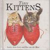 Tiny Kittens: Pop-up Book