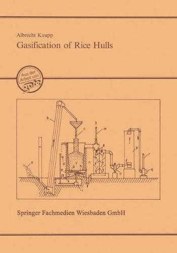 Gasification of rice hulls: theory and praxis