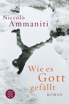 Wie es Gott gefällt: Roman