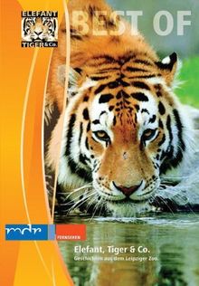 Elefant, Tiger & Co., Teil 03 (Tiger) | DVD | Zustand gut