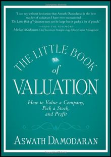 The Little Book of Valuation: How to Value a Company, Pick a Stock and Profit (Little Book, Big Profits)