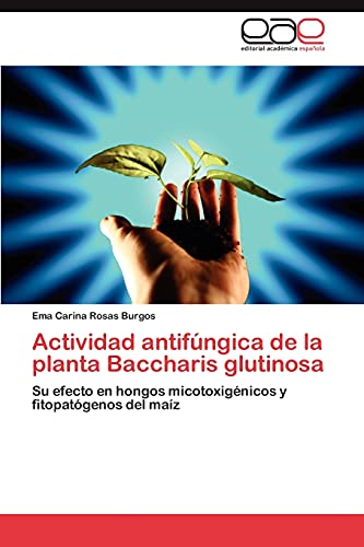 Actividad antifúngica de la planta Baccharis glutinosa: Su efecto en hongos micotoxigénicos y fitopatógenos del maíz