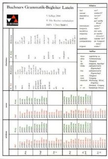 Grammatiken I: Buchners Grammatik-Begleiter Latein: Falttafel mit Übersichten zu den Deklinationen, Konjugationen und zur Syntax