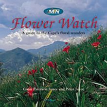 Flower Watch: A Guide to the Cape's Floral Wonders
