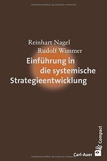 Einführung in die systemische Strategieentwicklung