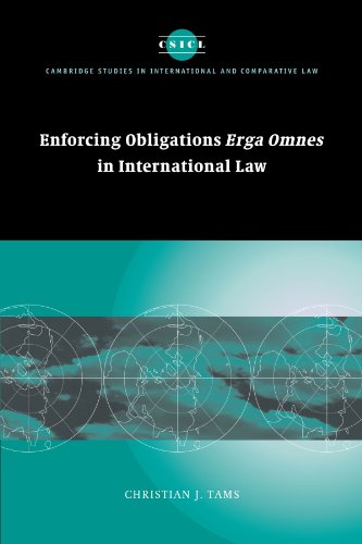 Enforcing Obligations Erga Omnes in International Law (Cambridge Studies in International and Comparative Law, Band 44)