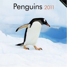 Penguins 2011