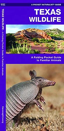 Texas Wildlife: A Folding Pocket Guide to Familiar Species (Pocket Naturalist Guide Series)